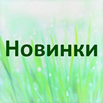 Новые песни